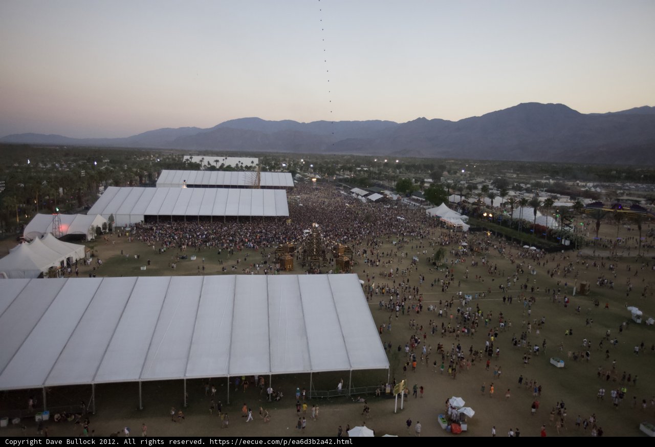 Music Festival Madness