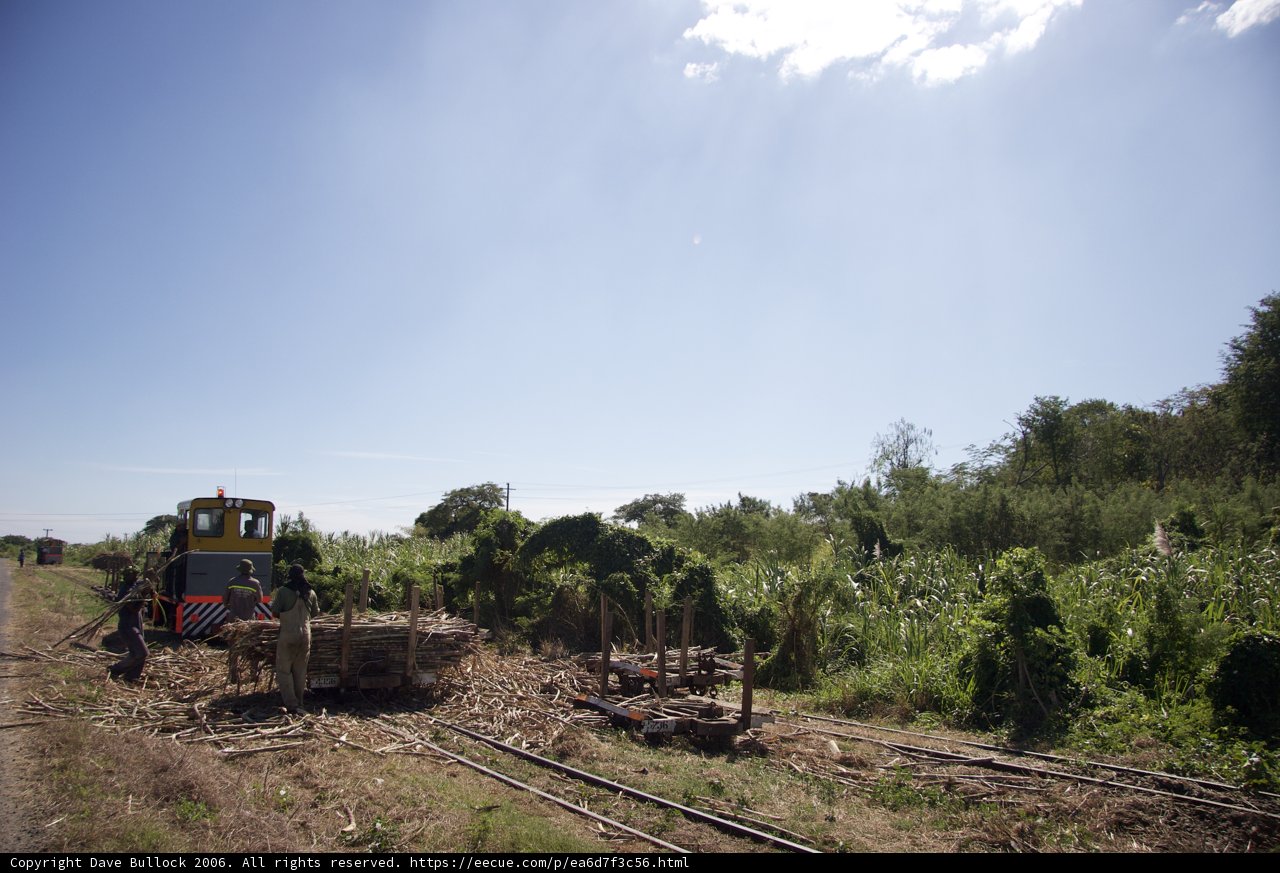 Working on the Tracks