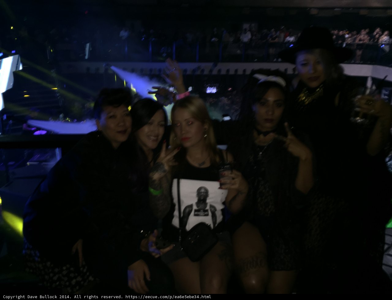 Women Enjoying the Nightlife at a Concert