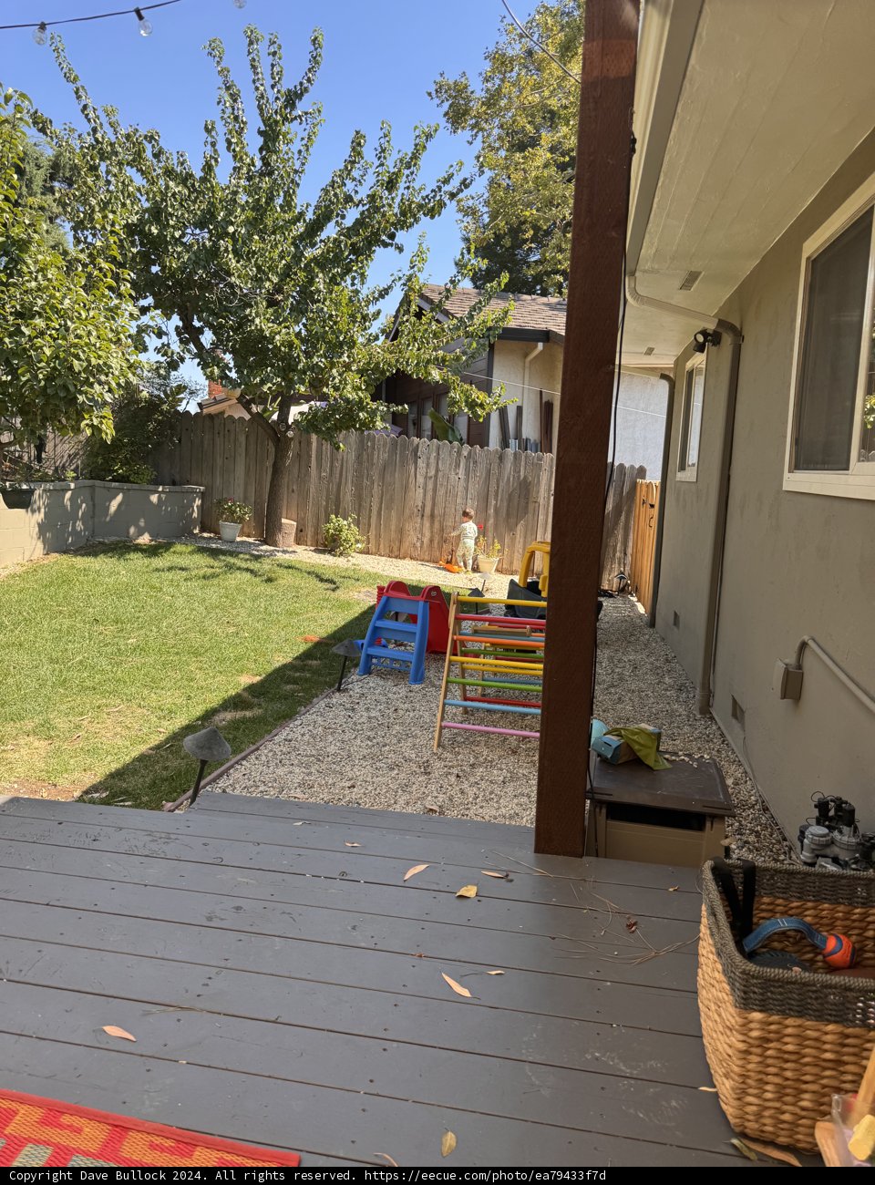 **Sunny Backyard Escape**