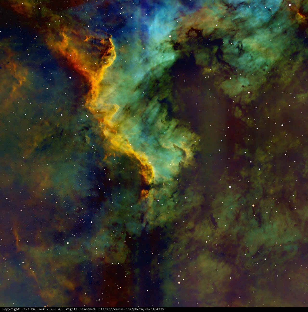 IC 5070 Pelican Nebula in SHO Narrowband Palette