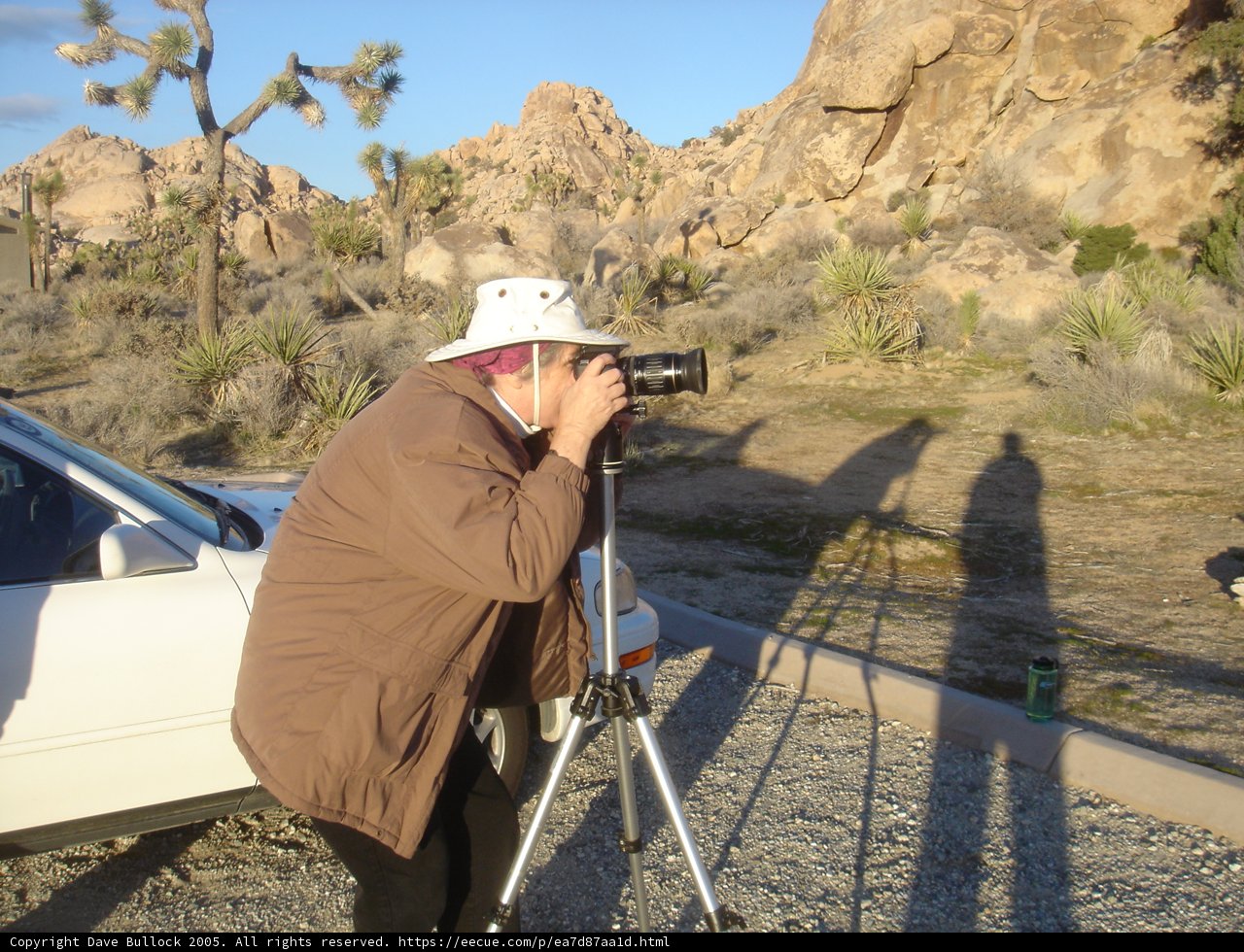Capturing the Beauty of the Machine