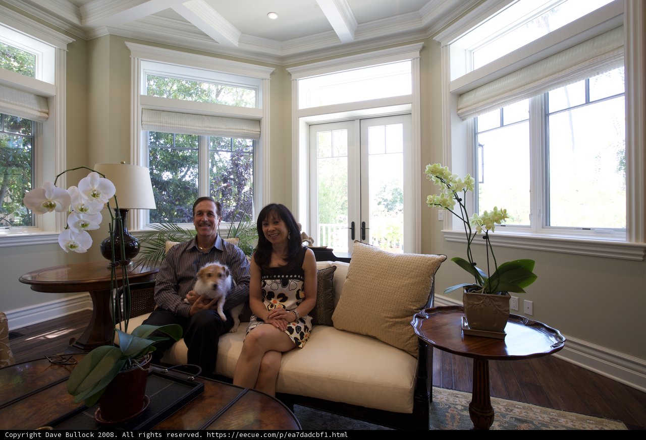 Cozy Living Room with Furry Companion