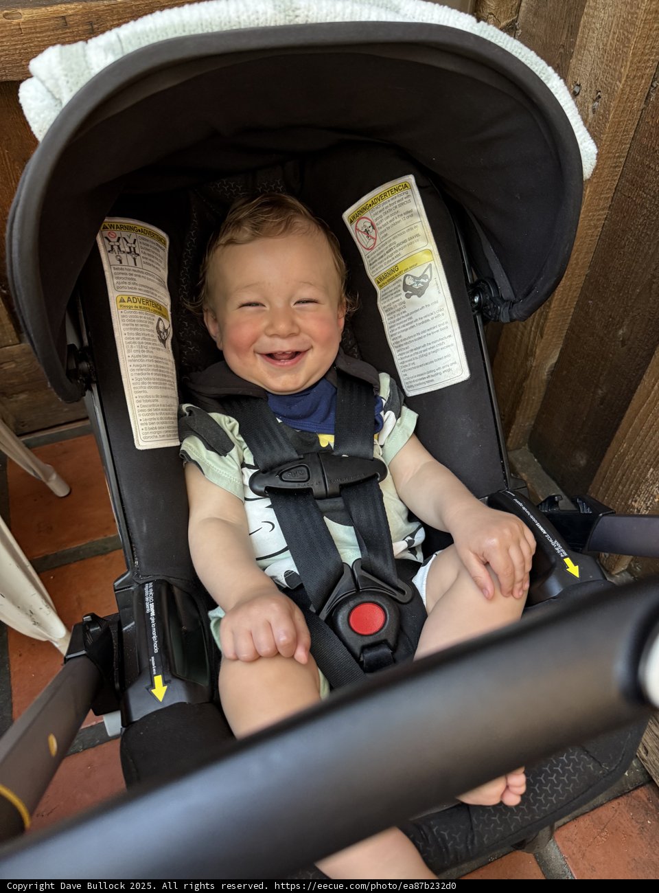 Joyful Moments in Walnut Creek