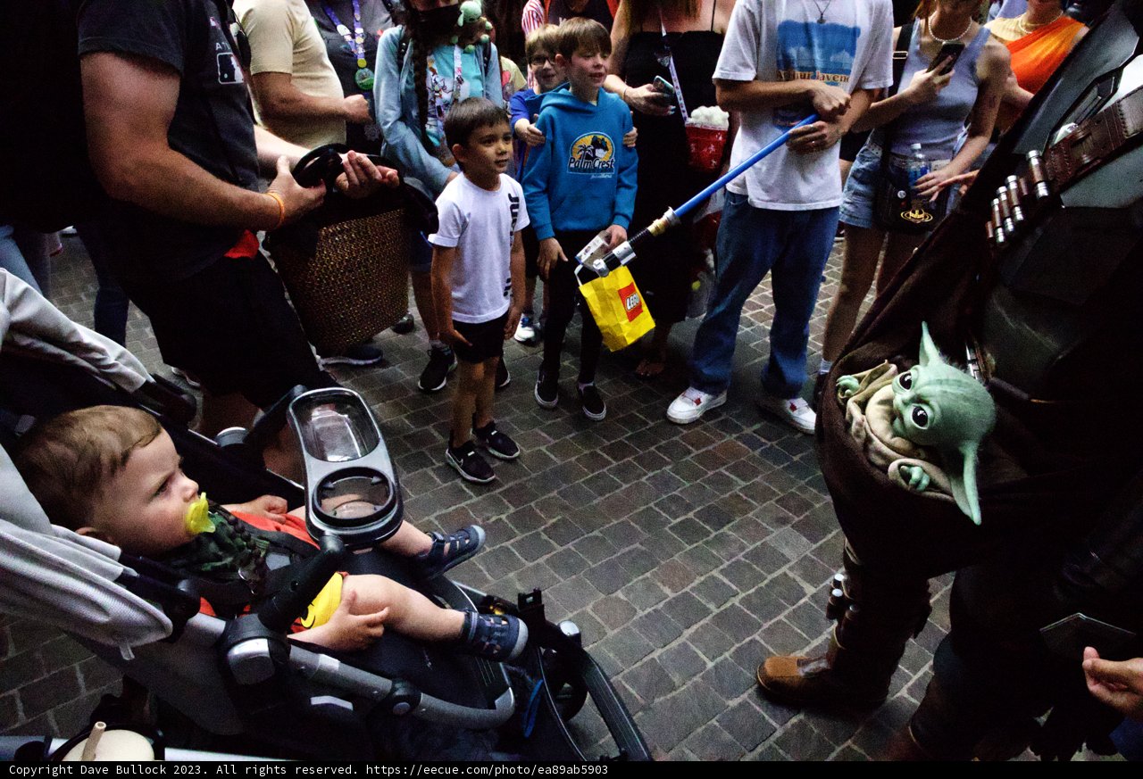 A Stroll to Remember at Disneyland
