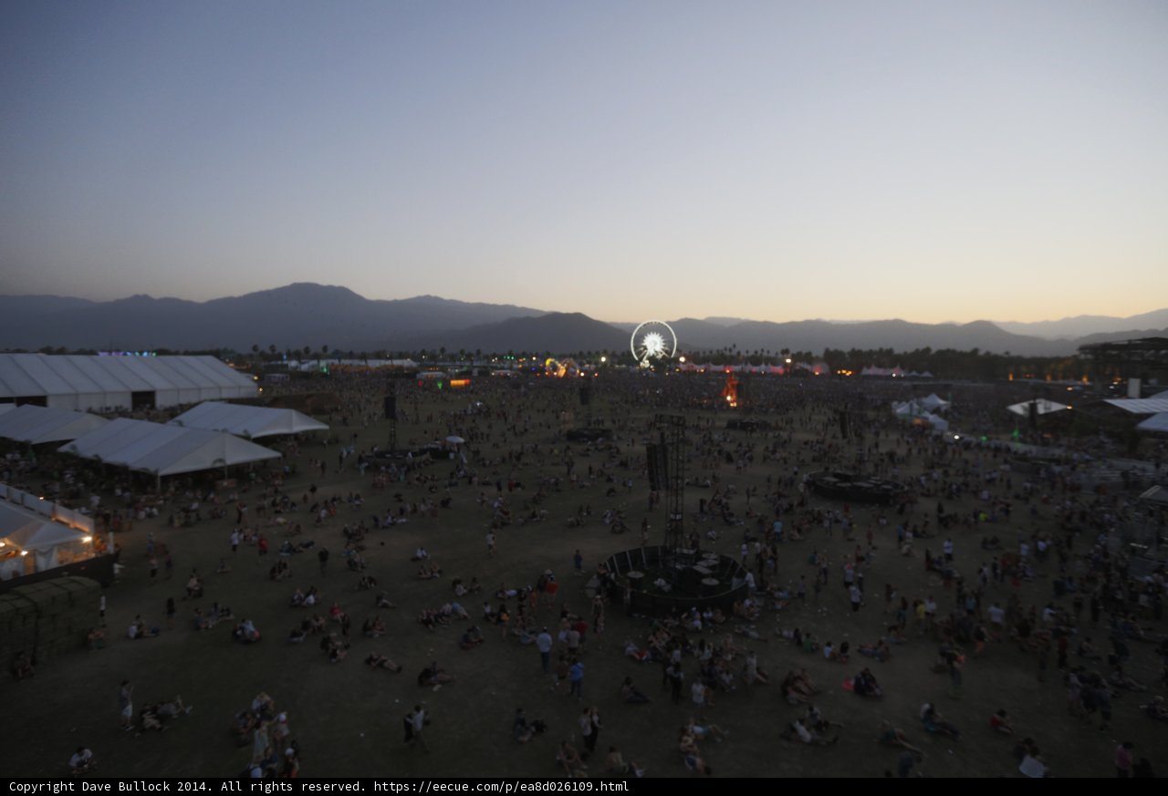 Music Festival Madness