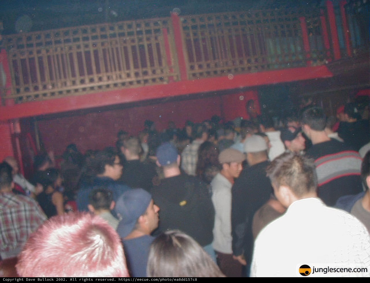 Nightclub Crowd