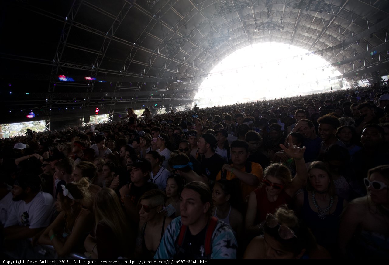 Soaking Up the Sun at Coachella
