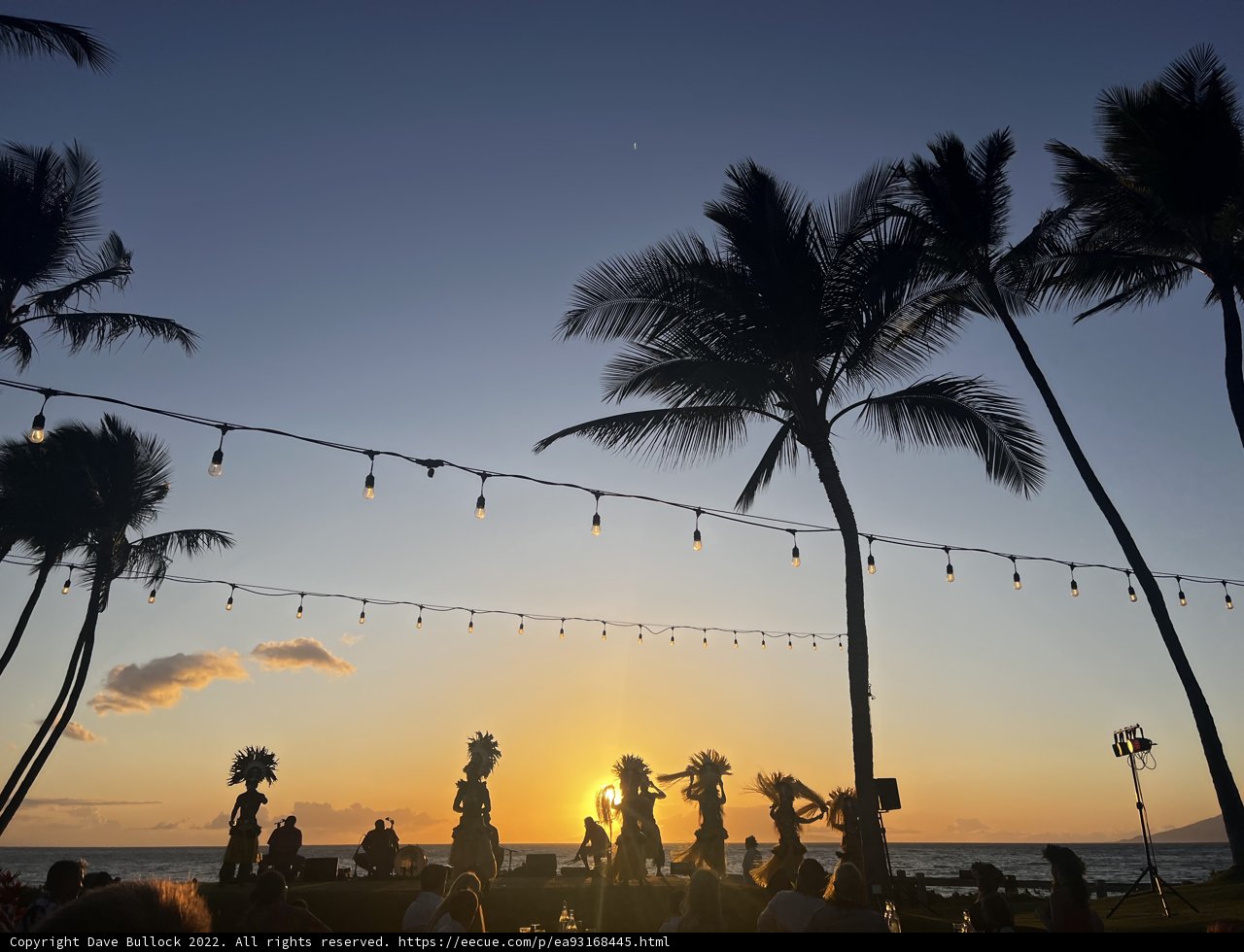Tropical Sunset Gathering