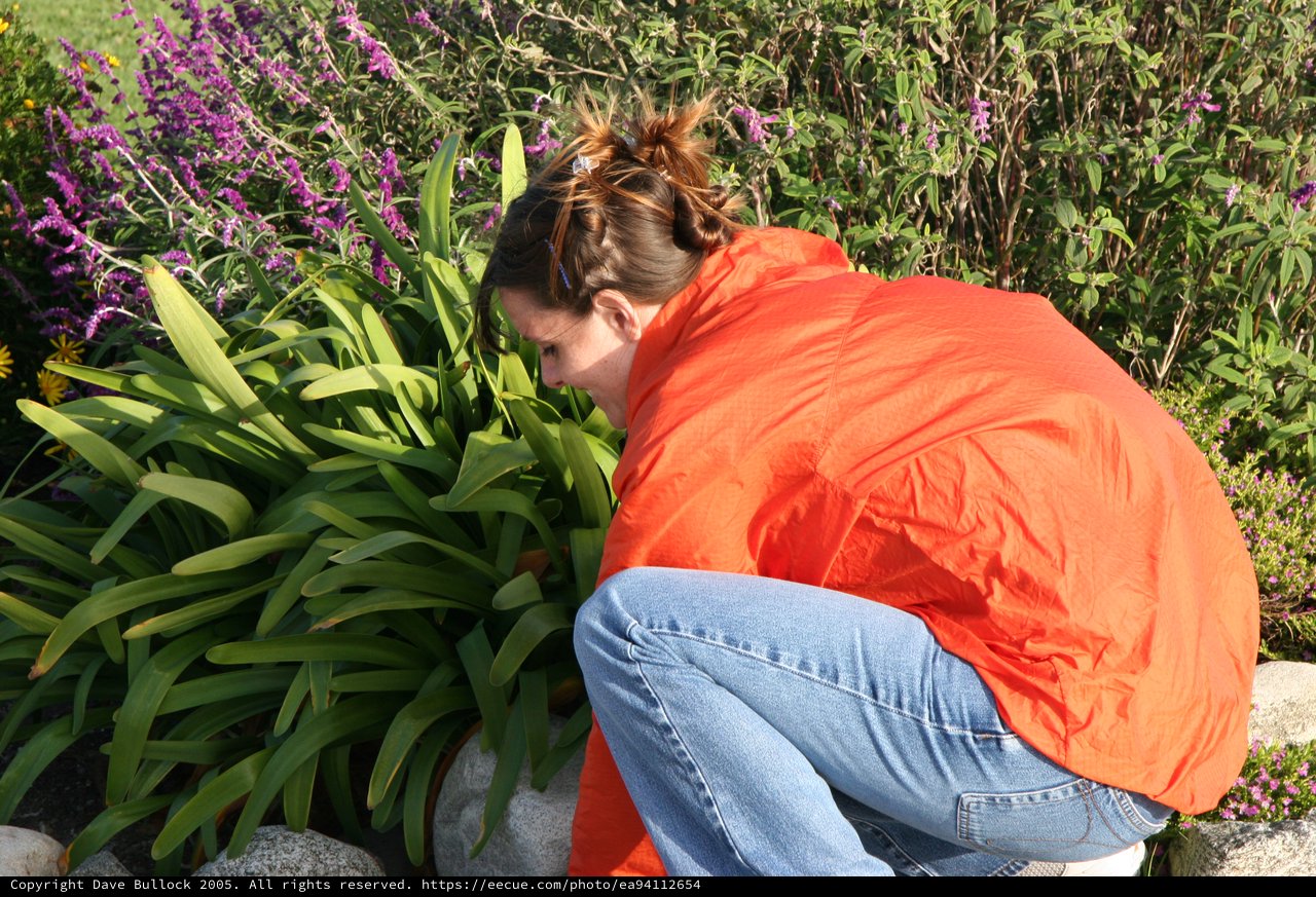 Woman in Orange Jacket Examining Garden Flowers
