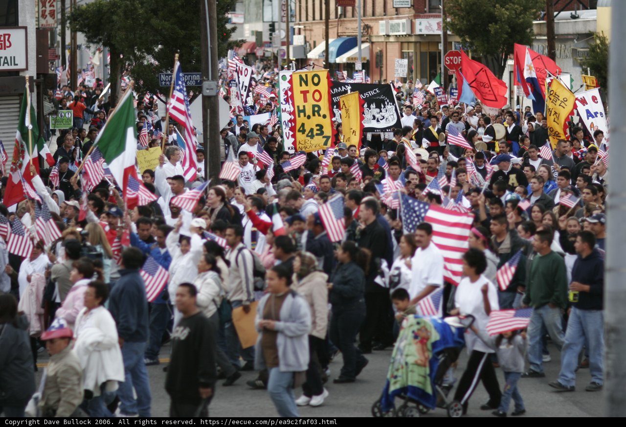 Patriotic Crowd