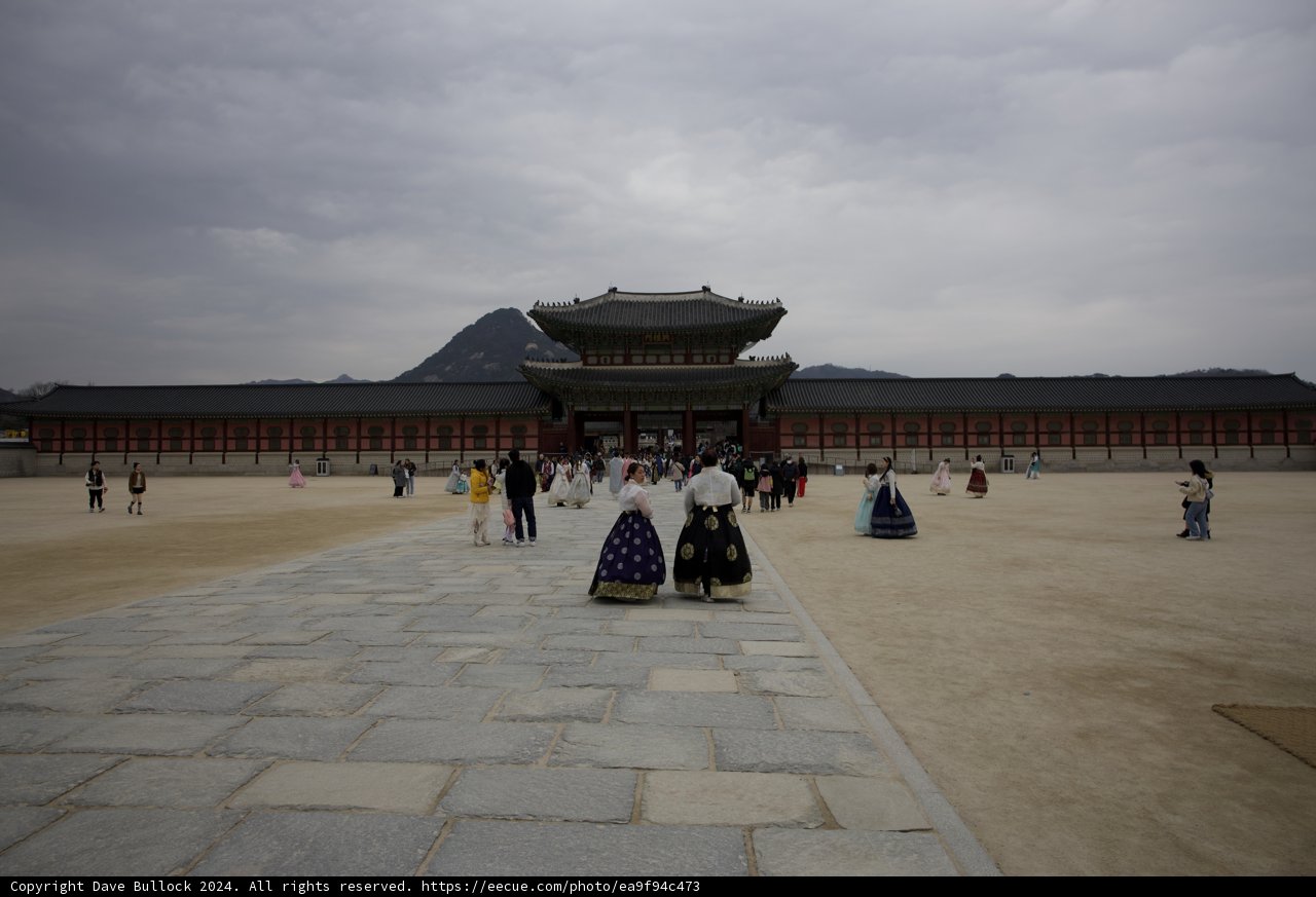 Enchanting Journey through Tradition