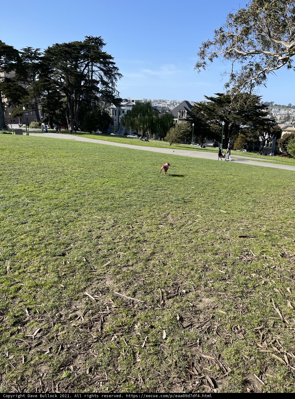 Fun in the Park