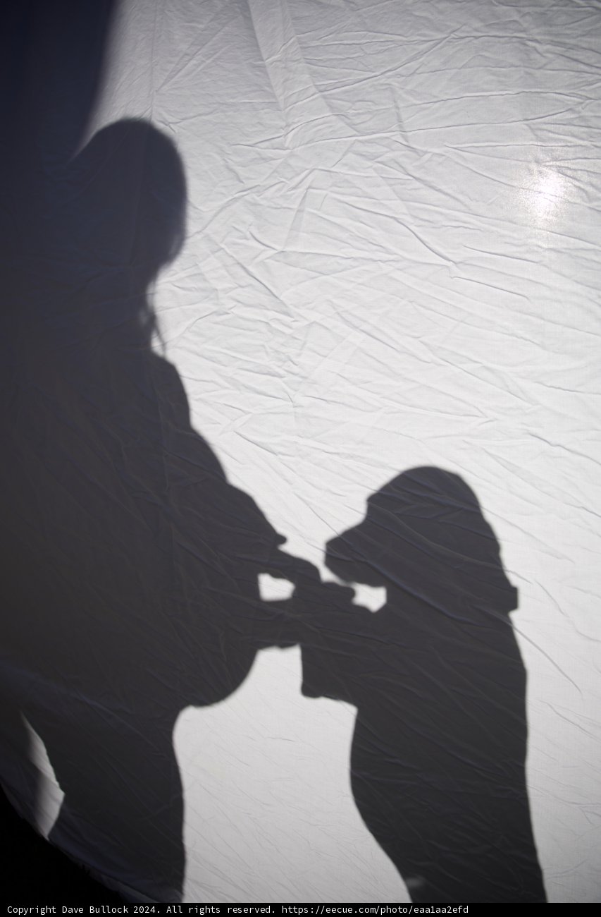 Shadows of Expectation