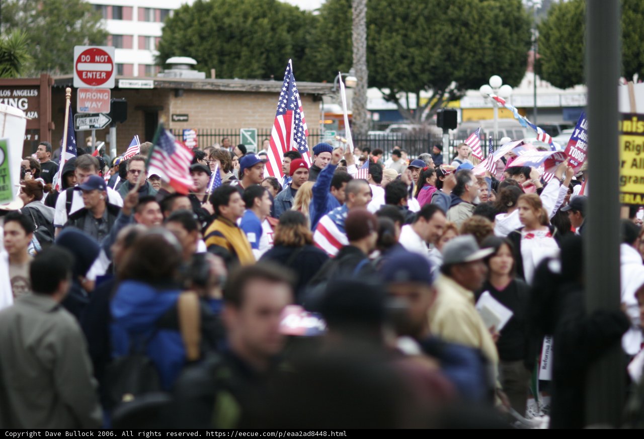 Patriotic Crowd