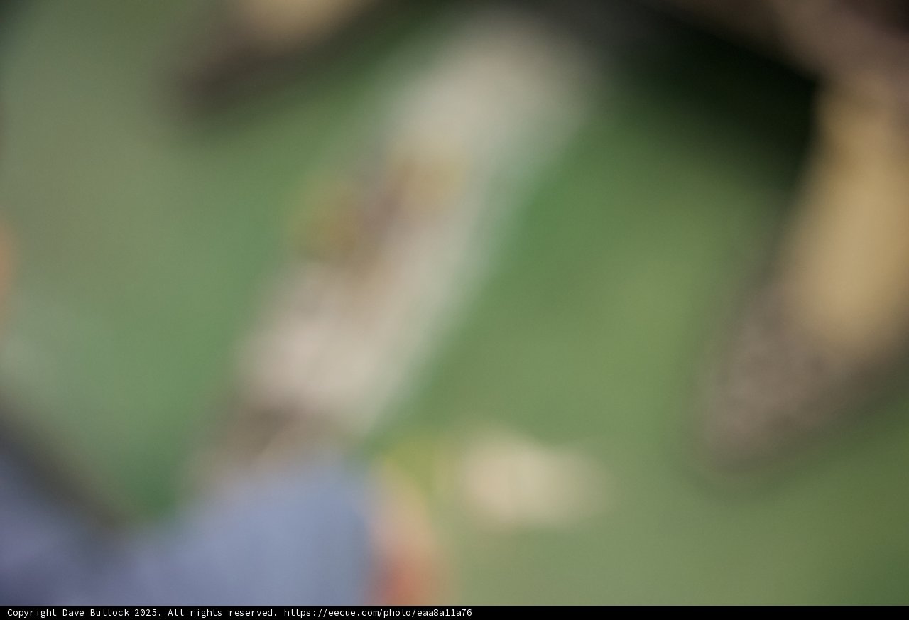 A Blur of Fun and Leisure