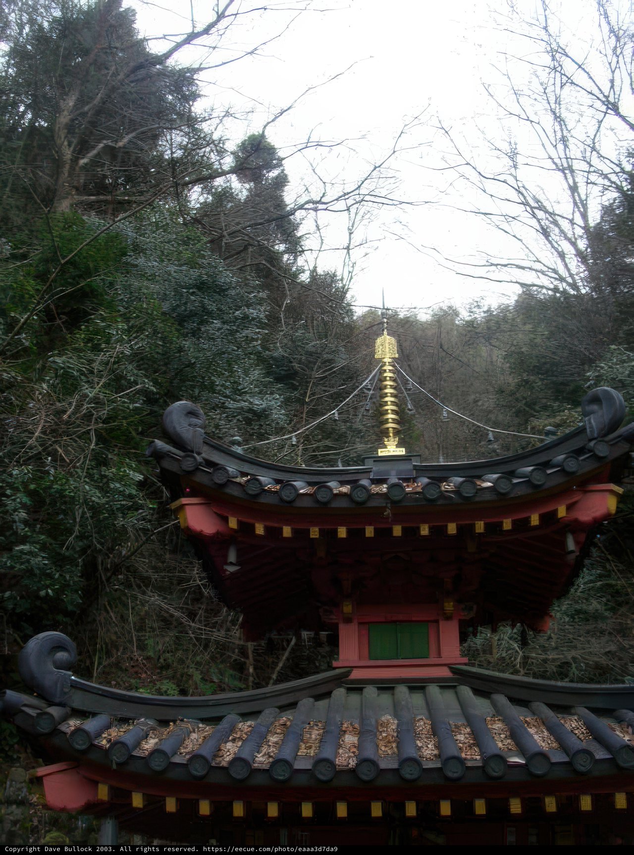 Red and Gold Pagoda in the Forest