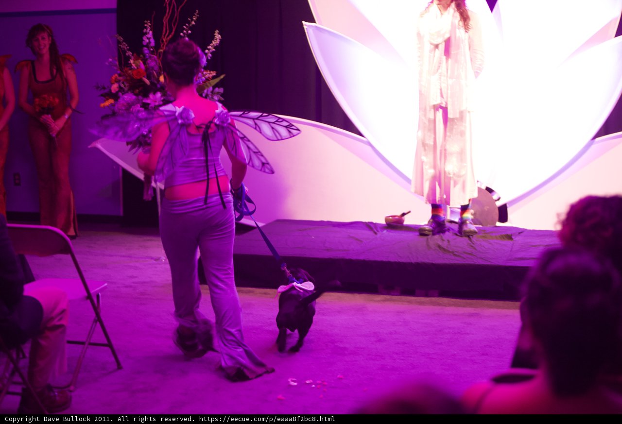 A Runway Romance