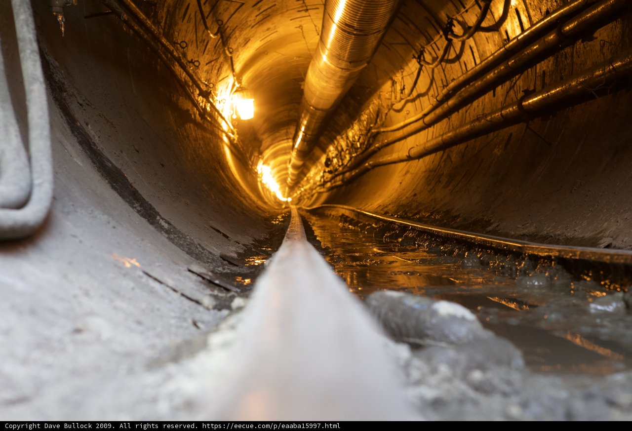 Journey Through the Tunnel