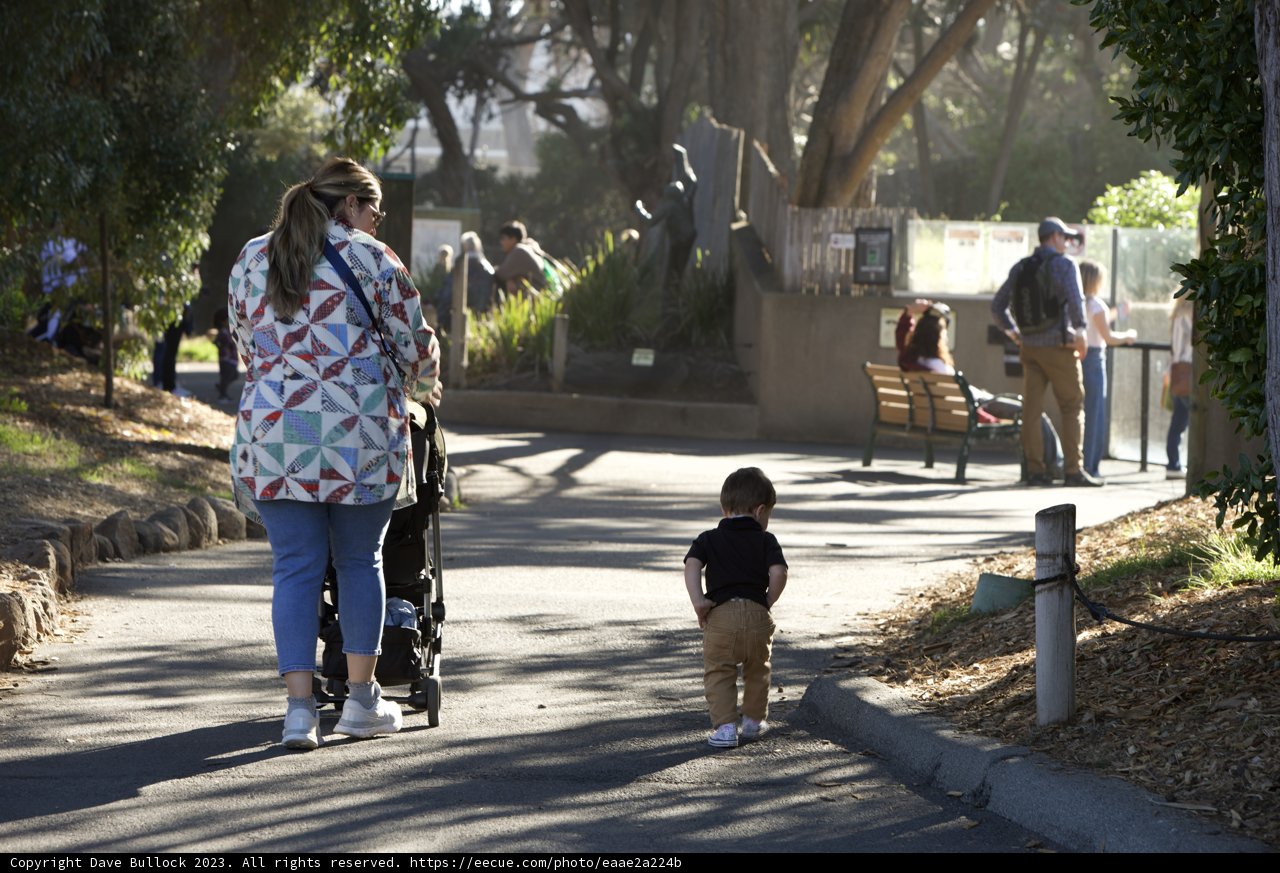 Mother & Child Afternoon Stroll - SF Zoo Visit
