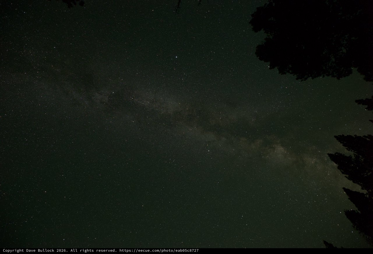 Milky Way Arches Over Lake Tahoe Pine Forest
