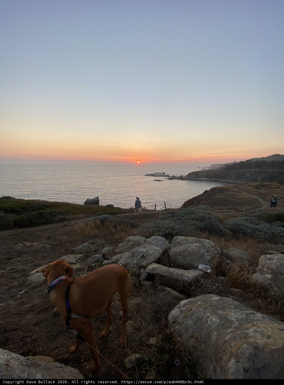 Sunset Serenade