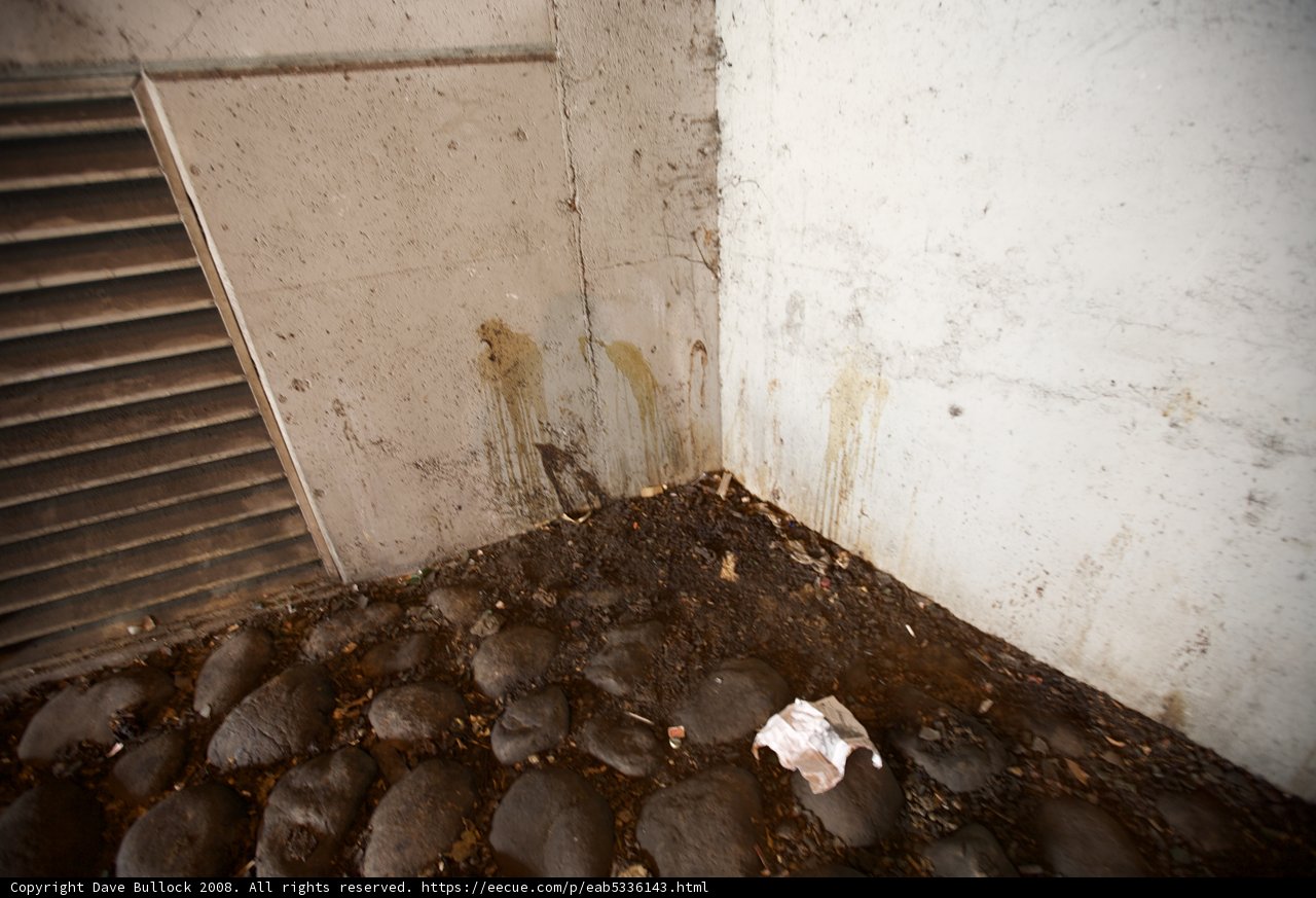 Neglected Living Quarters
