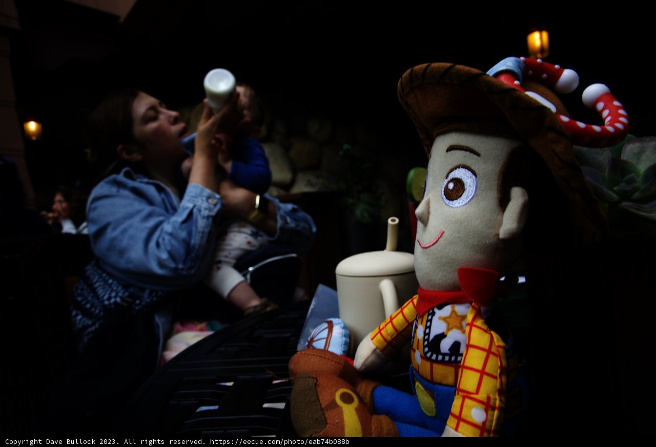 Magical Moments with Woody the Bear
