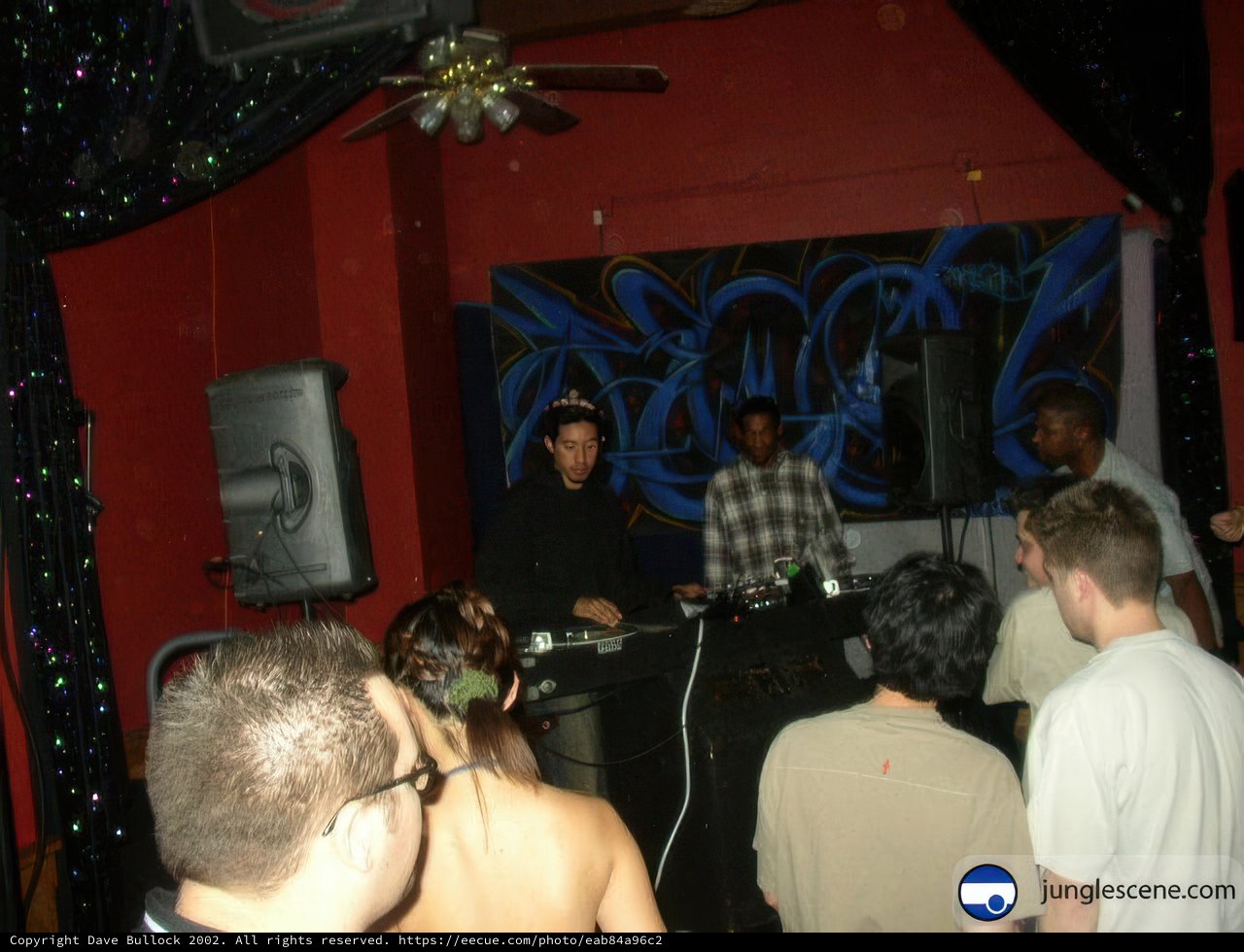 Nightclub DJ Performance