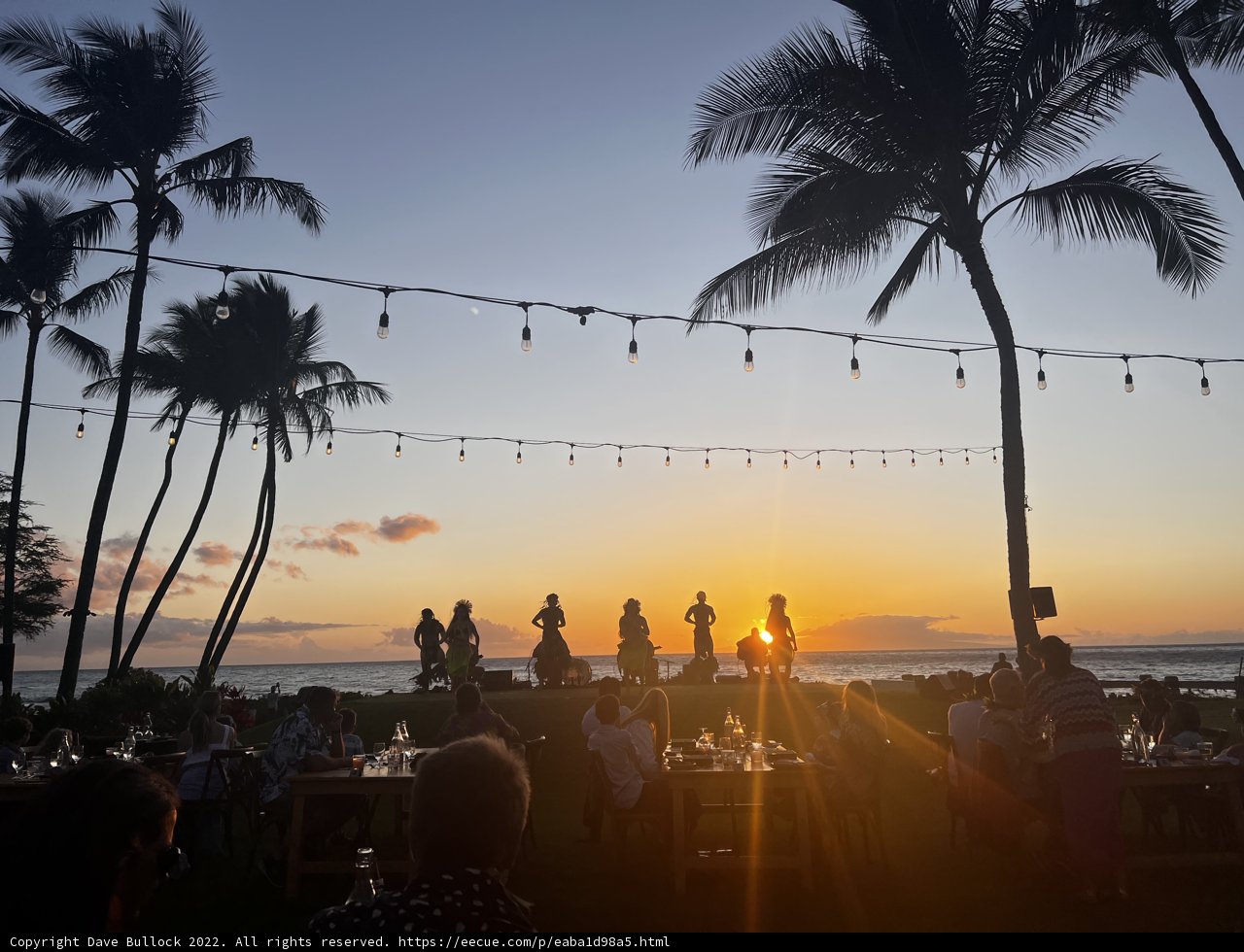 Gathering at Sunset with Palm Trees