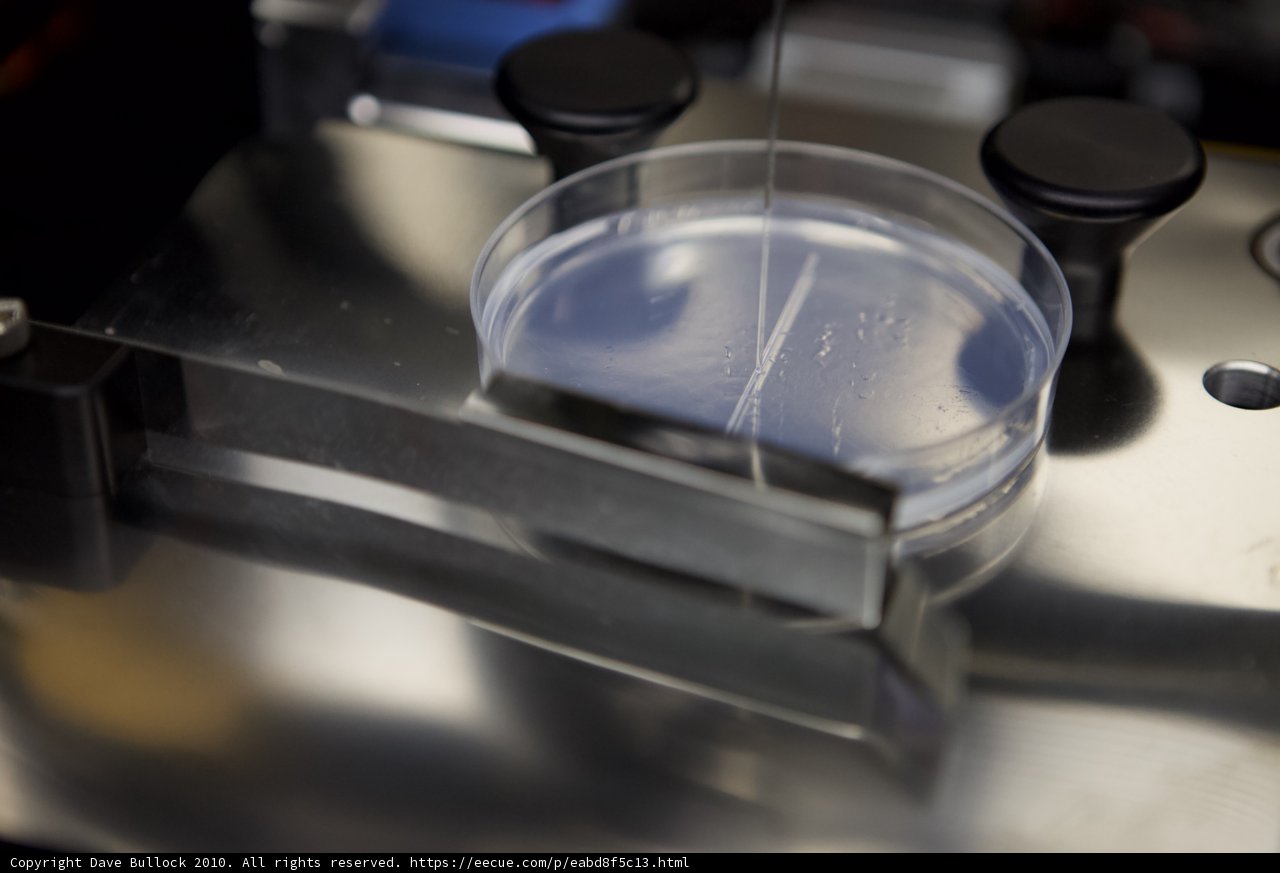 Glass Cup with Liquid in Lab