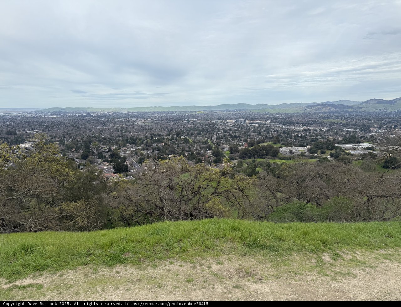 Peaceful Overlook in Walnut Creek