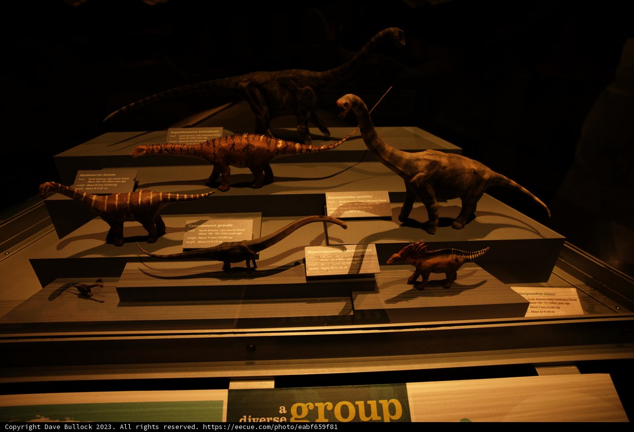 Jurassic Journey at California Academy of Sciences