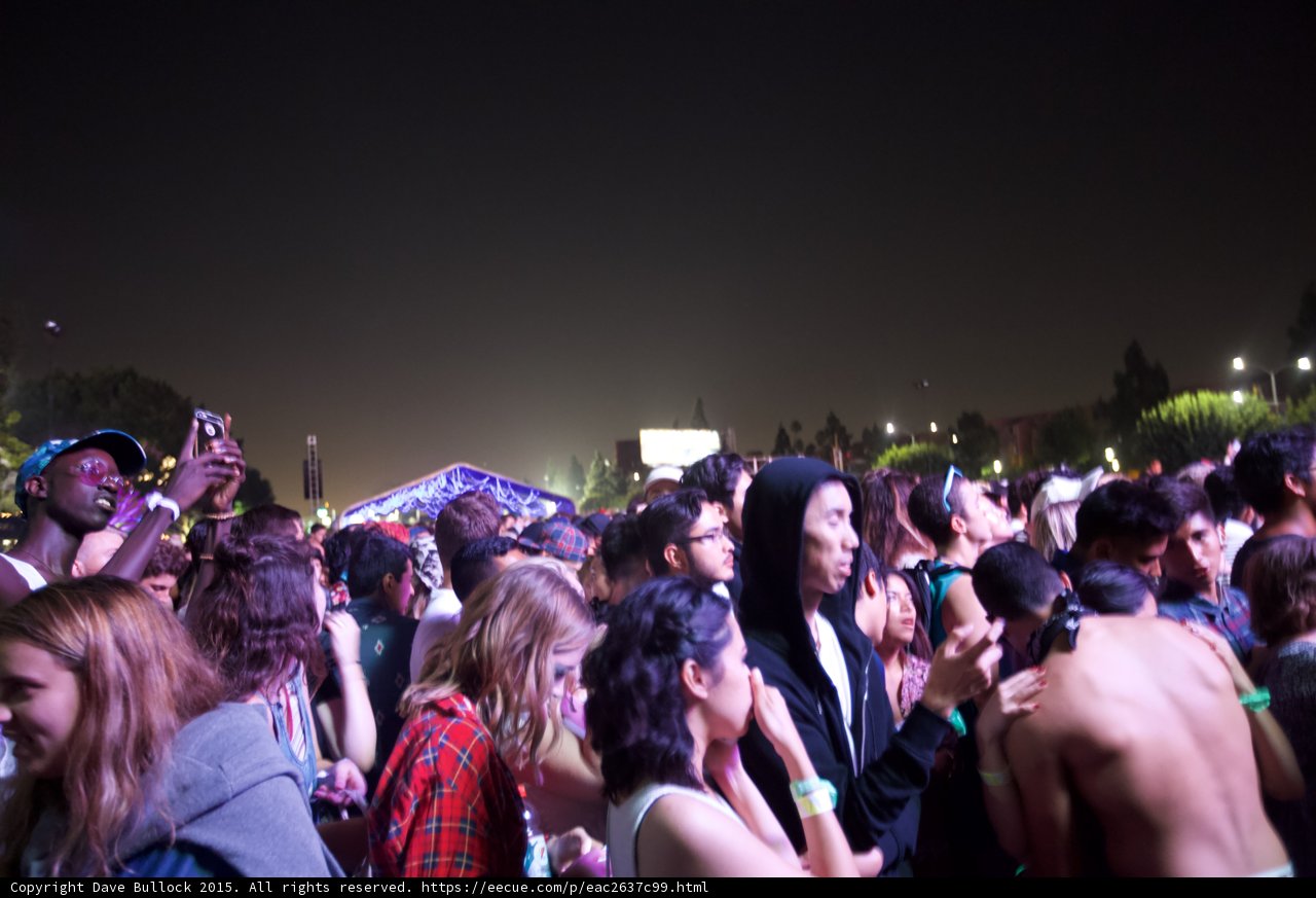 Festival Crowd at Night