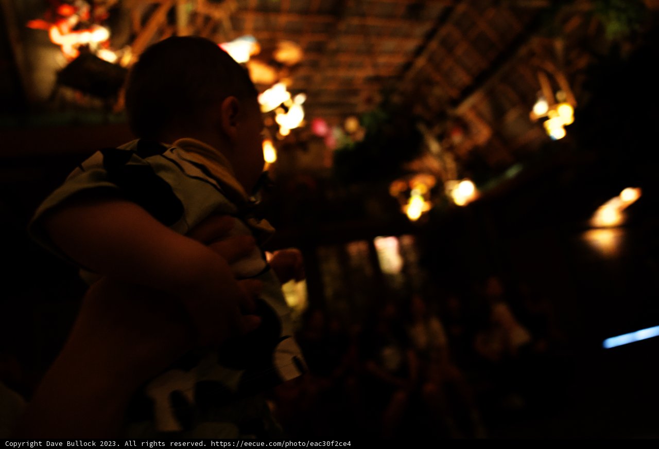 A Precious Moment at Disneyland