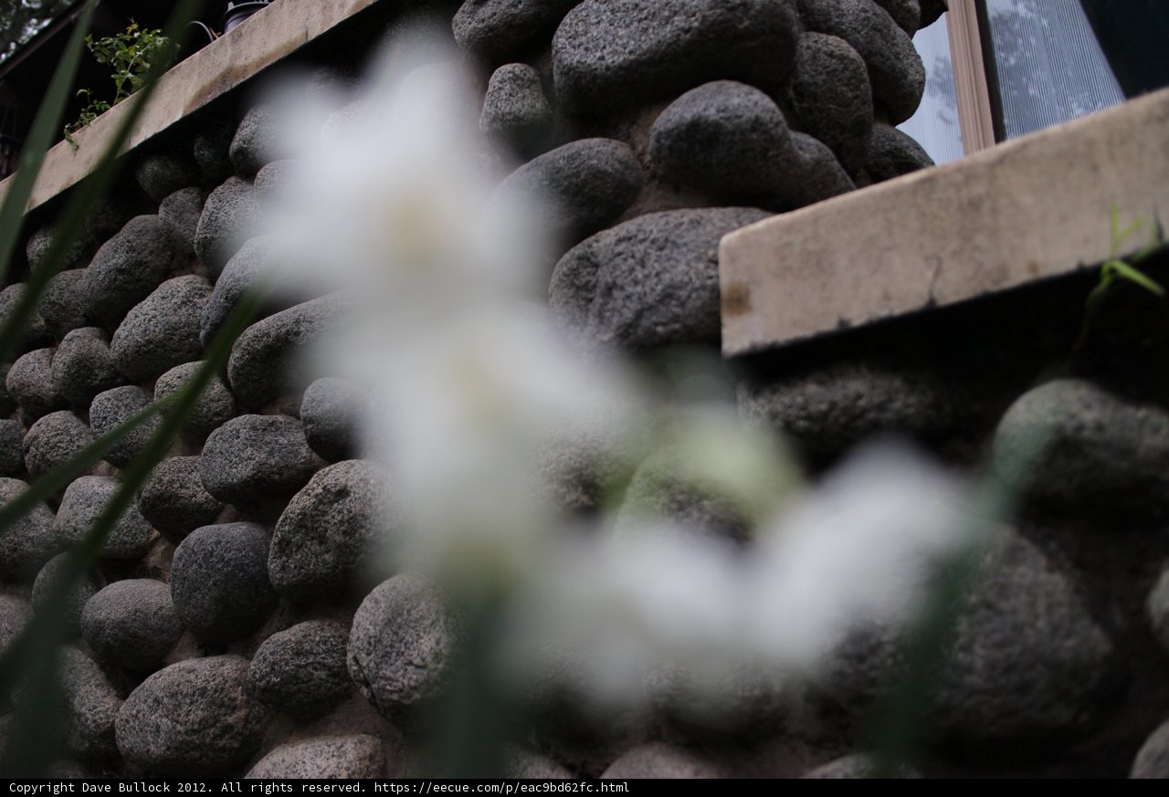 Serenity Among Stones