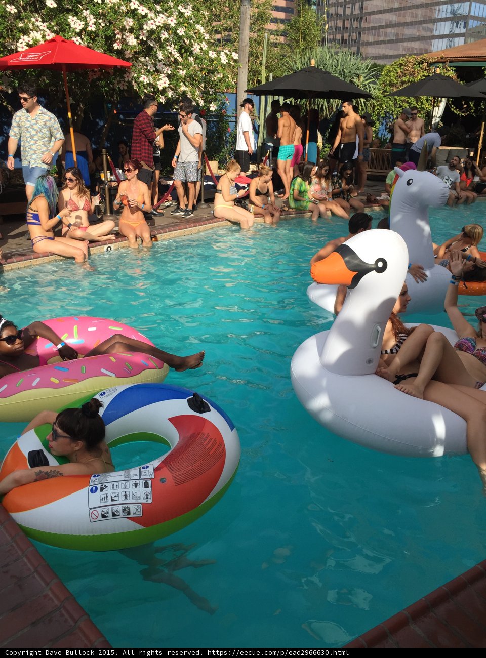 Pool Party Fun