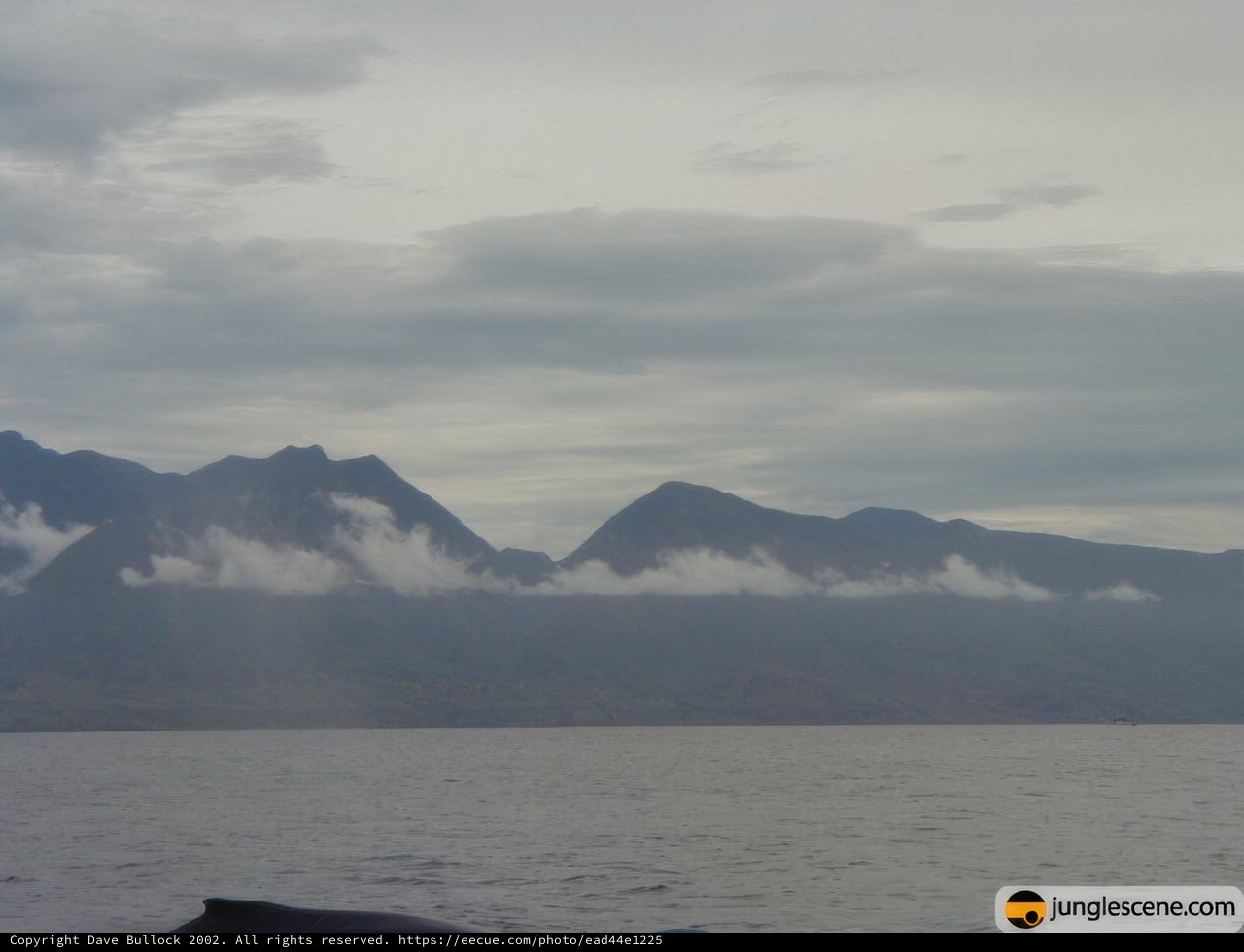 Majestic Mountains and the Serene Sea