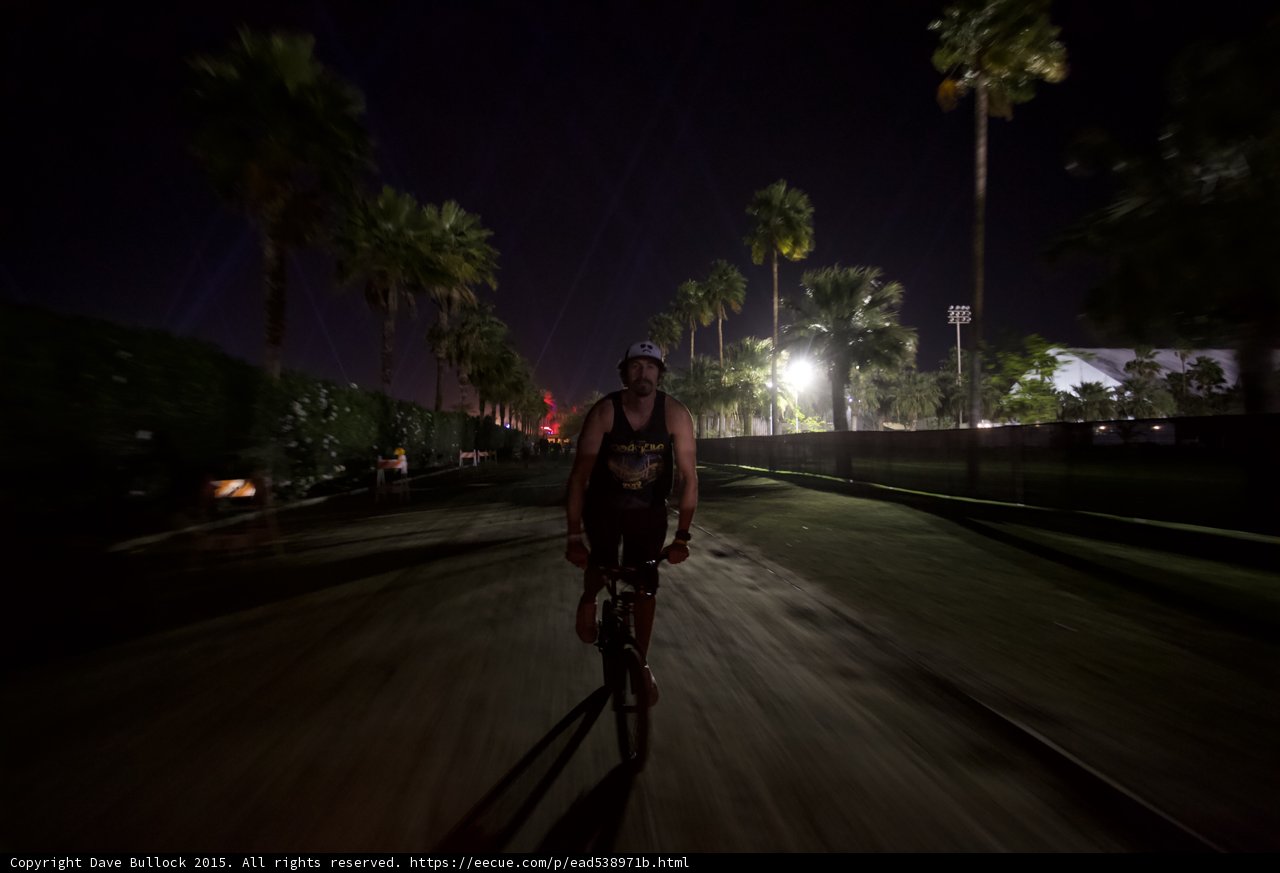 Riding Through Palm Trees