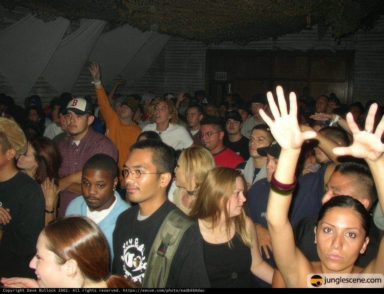 Party People Pumping It Up