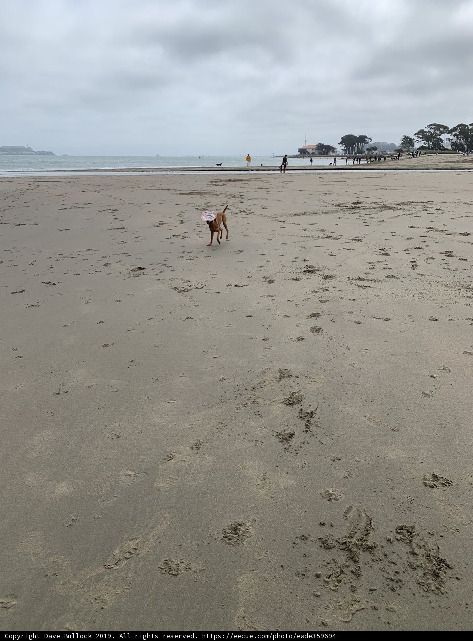 Beach Run