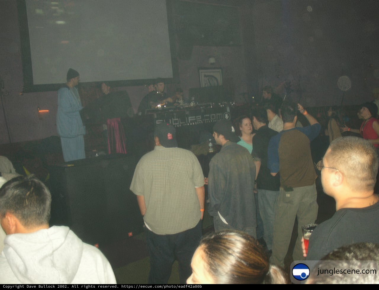 Nightclub Gathering