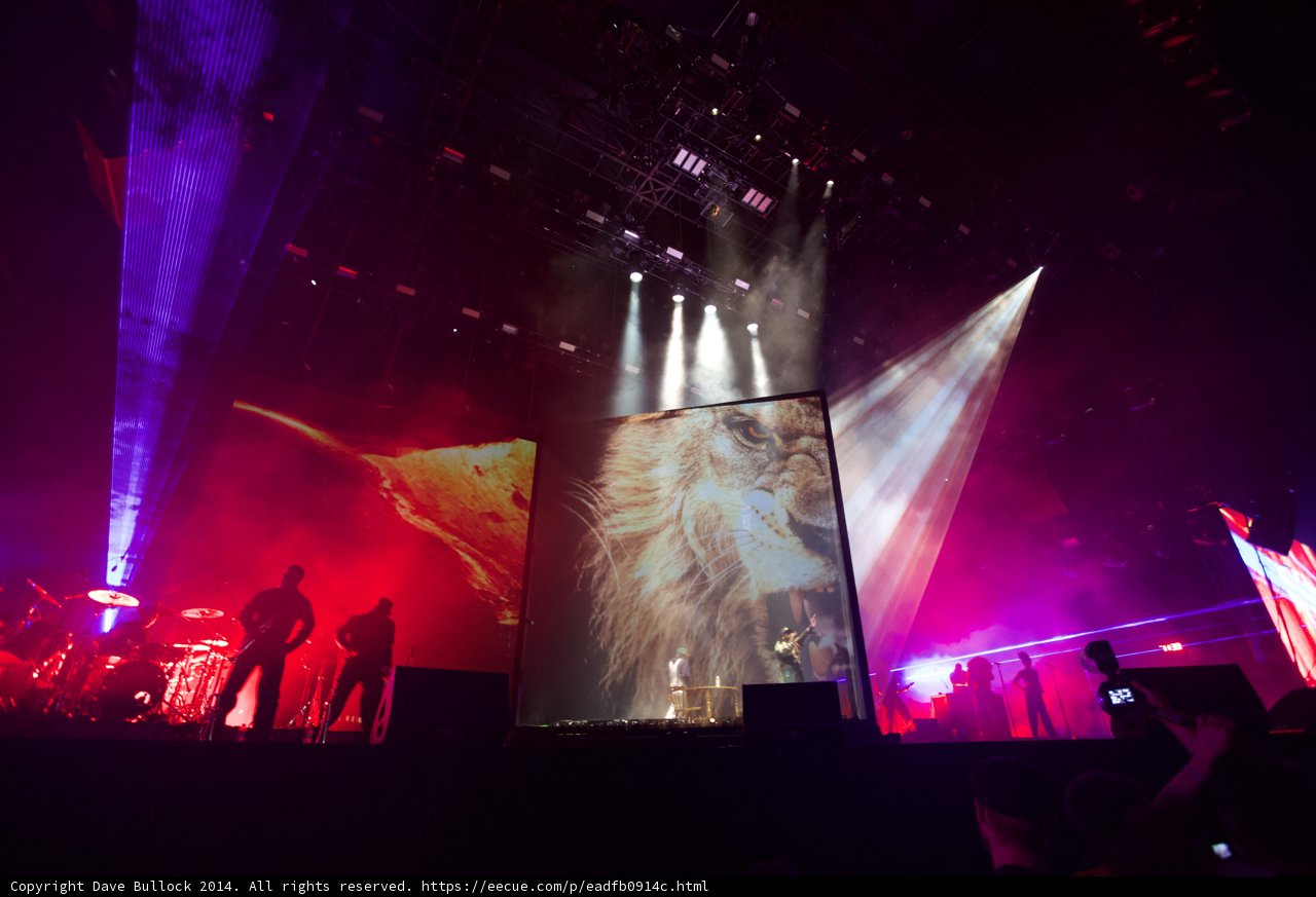 The Spotlight Shines on a Rockin' Concert