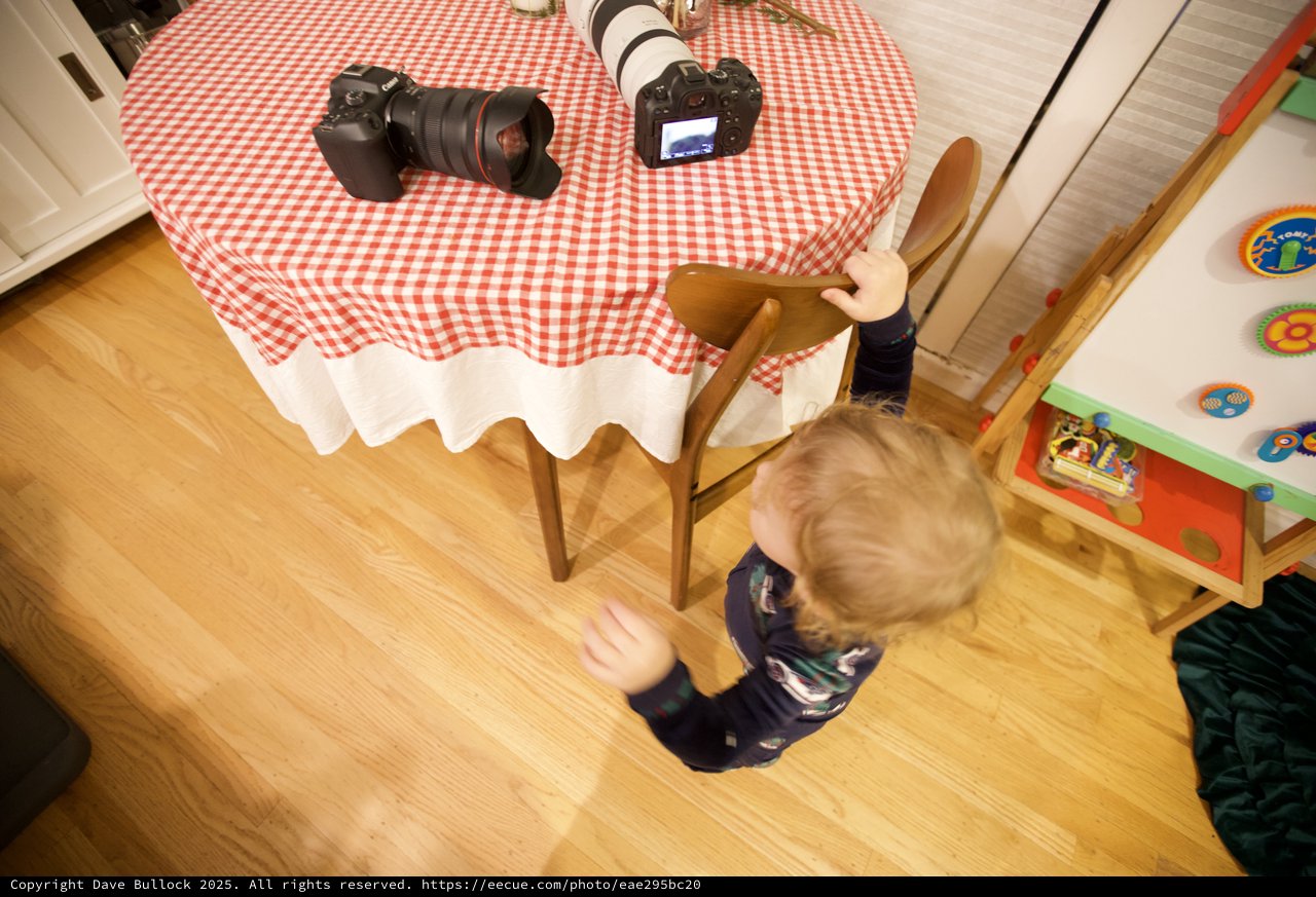 Young Child Reaching Toward Camera Equipment on Table