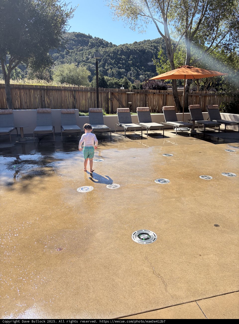 Sunlit Adventures in Carmel