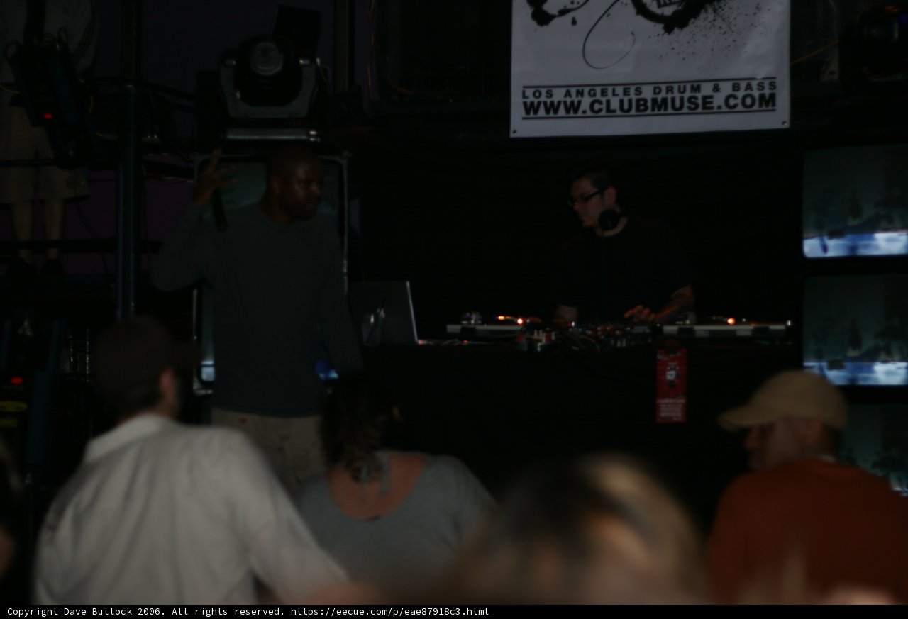 DJ Sends Crowd into Wild Frenzy