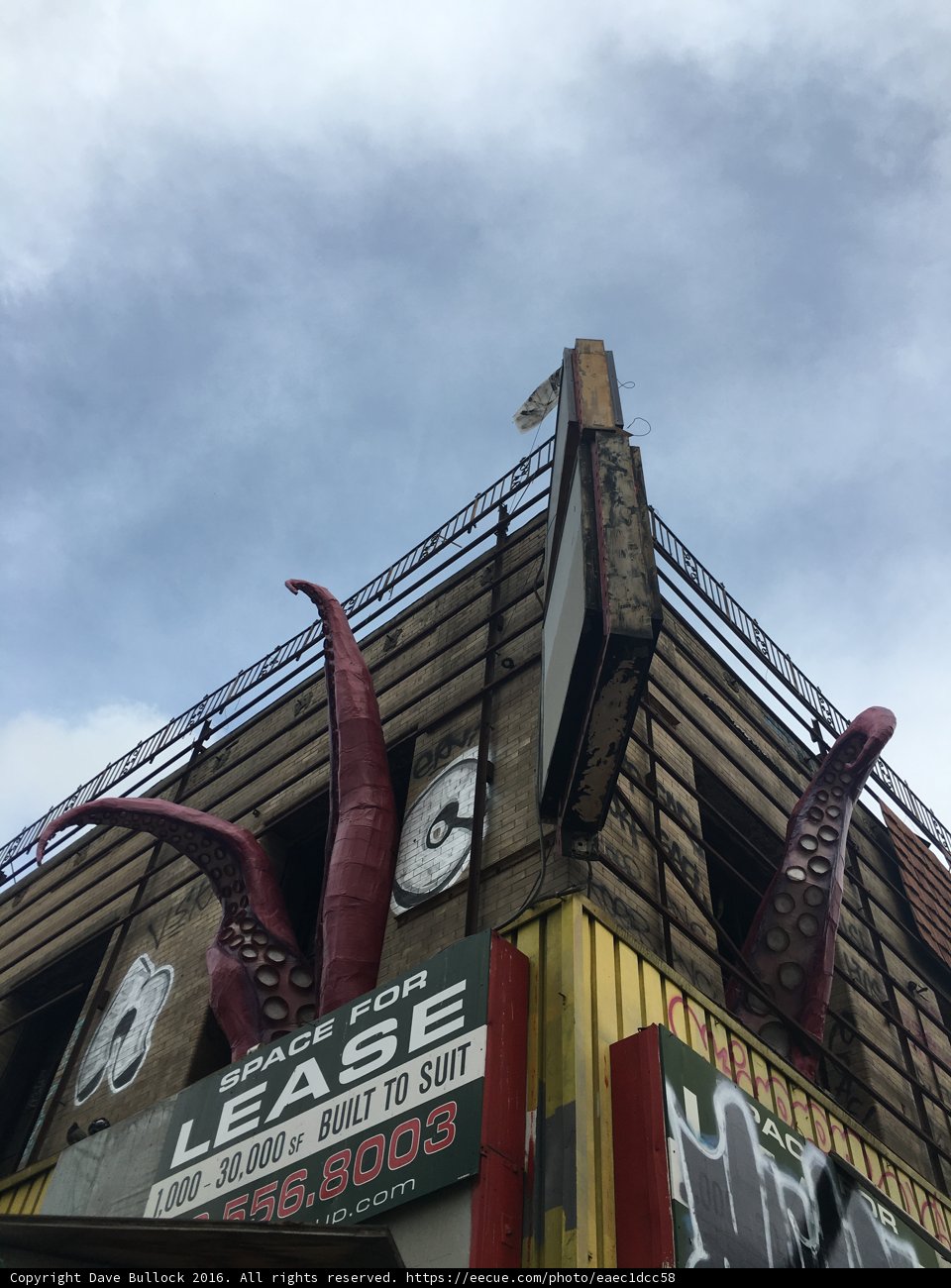 Leash Building