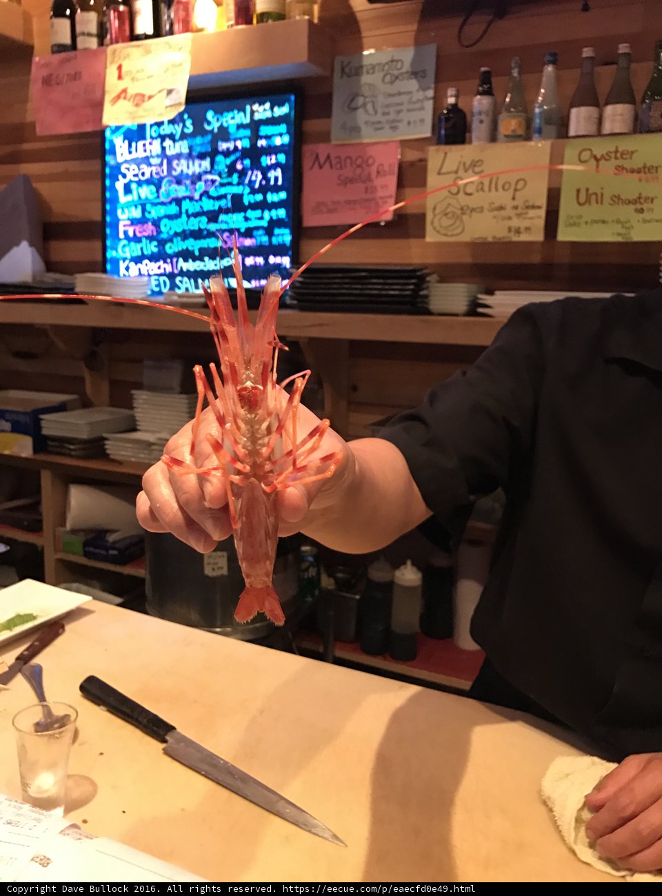 Lobster Delight