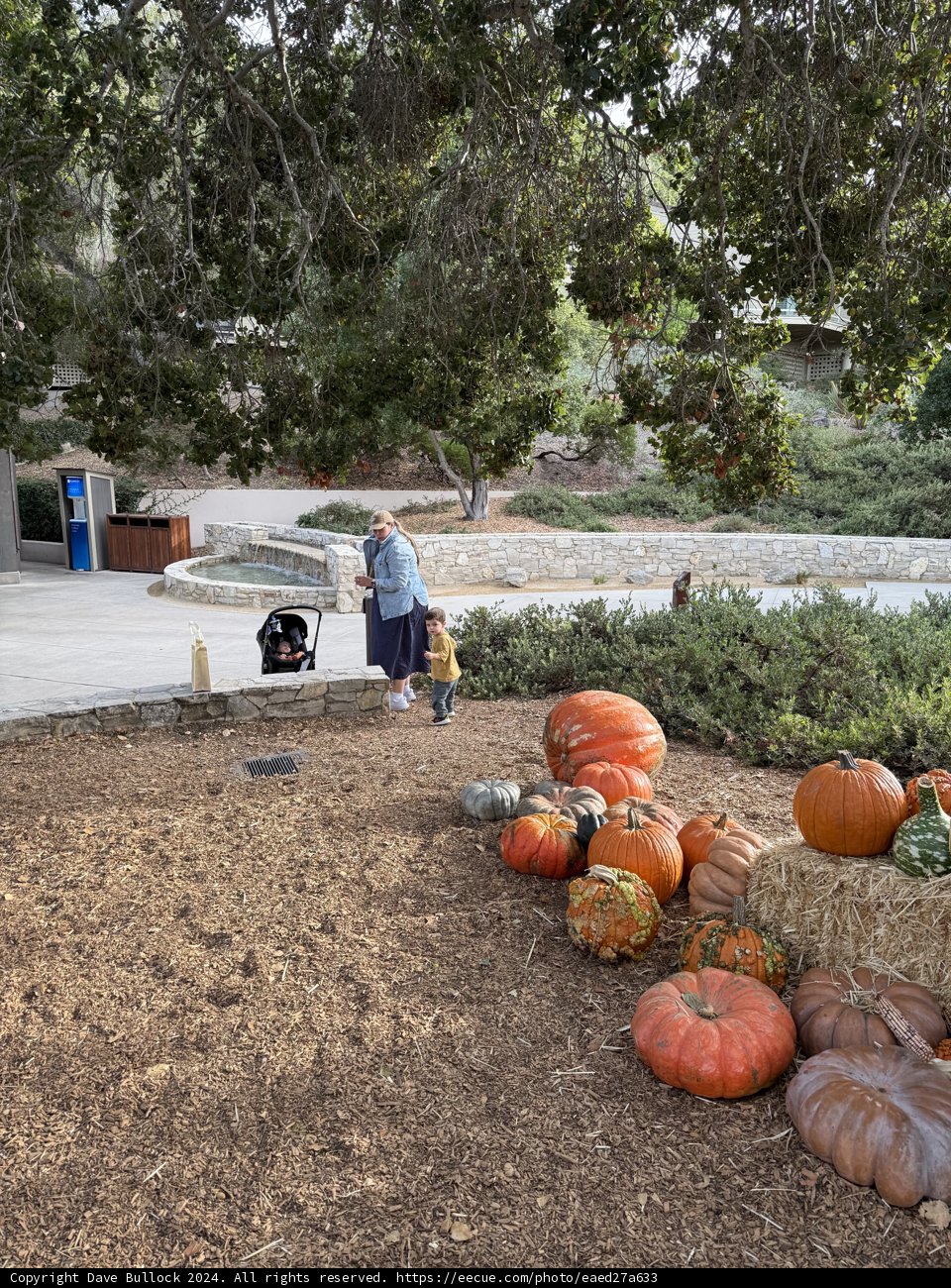 **Autumn Strolls and Pumpkin Patches**