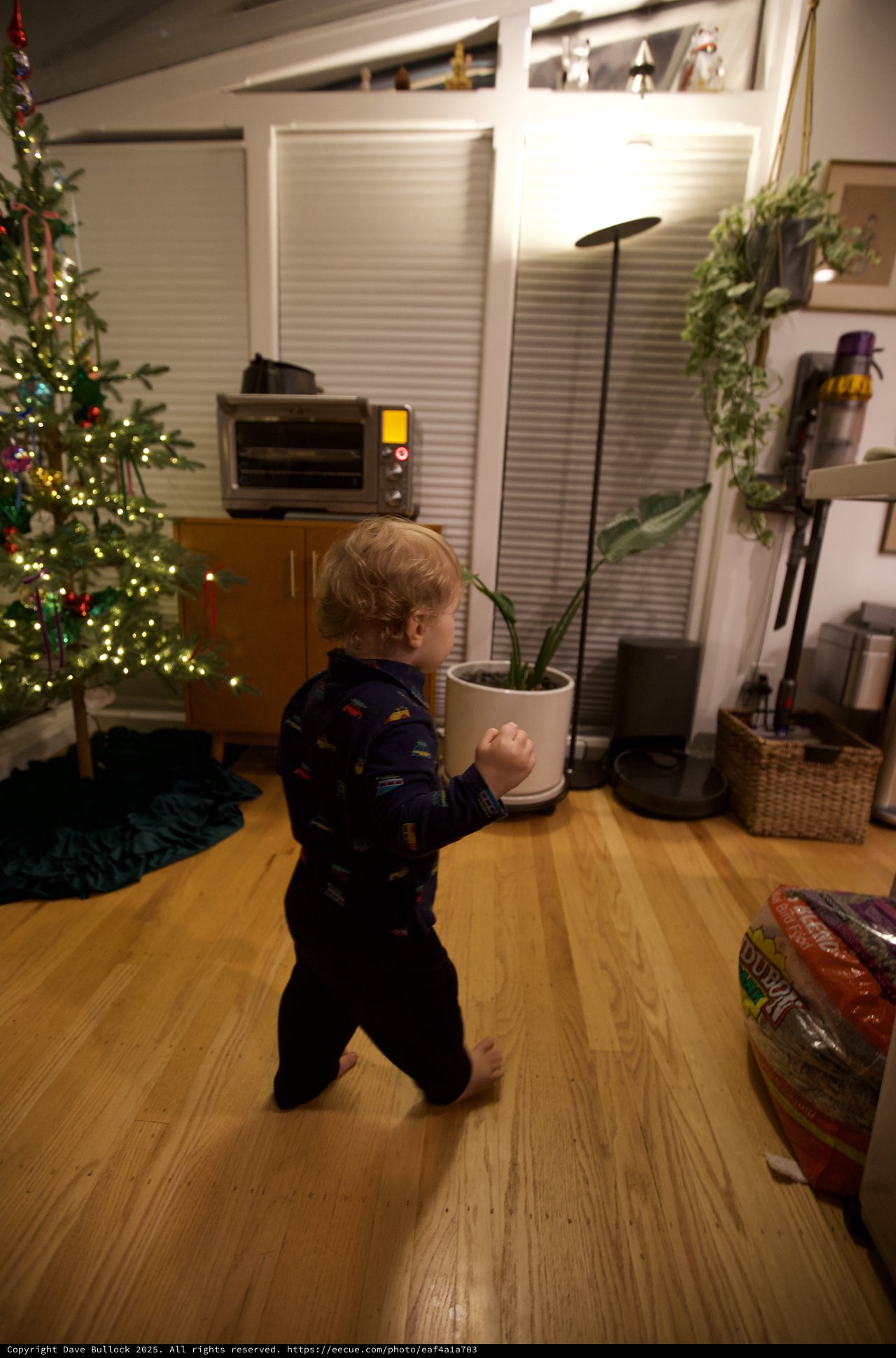 Toddler's Wonder on Christmas Morning